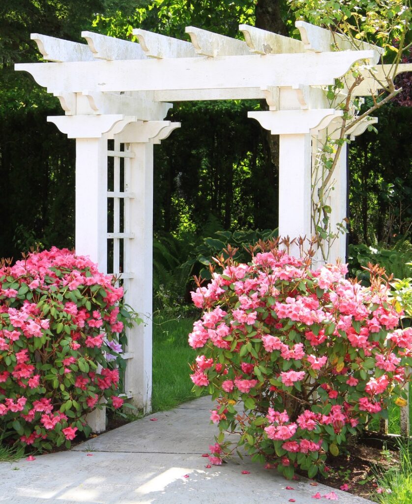 backyard arbor